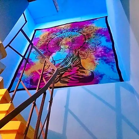 Lola Backpacker's Hostel *