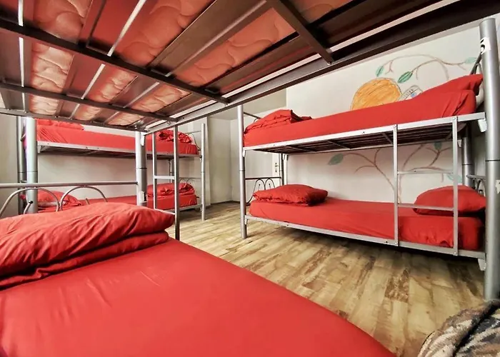 Lola Backpacker's Hostel